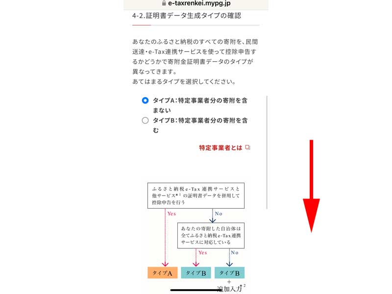 証明証データ生成タイプの確認画面