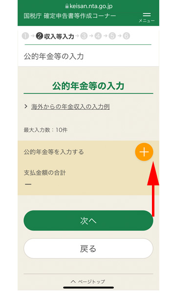 公的年金等の入力