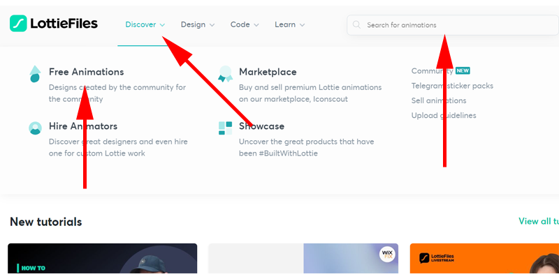 「Discover」をクリックして、「Free Animations」をクリックします。