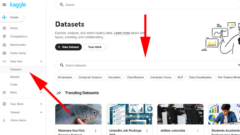Kaggle Datasets画面